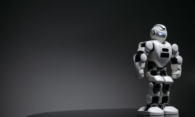 tech feedbuzzard